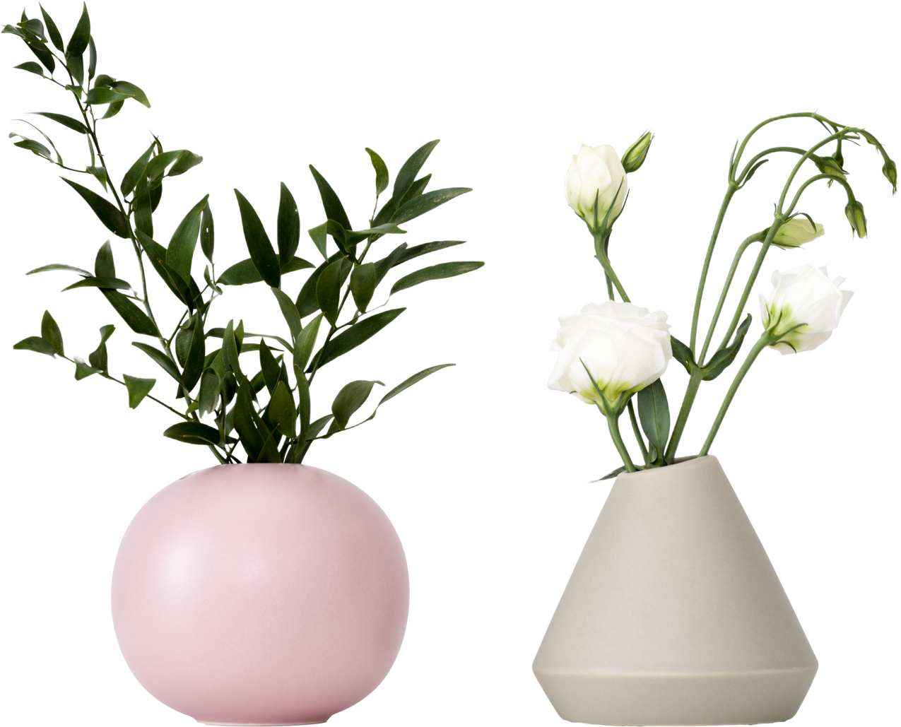 Cut Out Photo of Two Houseplants 